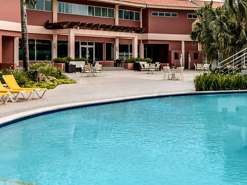 Lagoon Style Pool