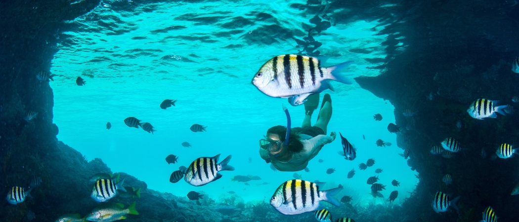 Diving in the Bahamas