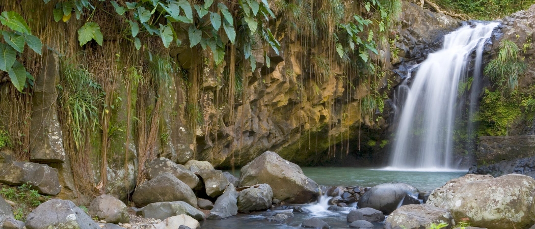 Nature Grenada