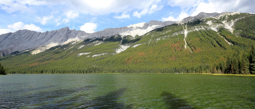 Lac Beaver