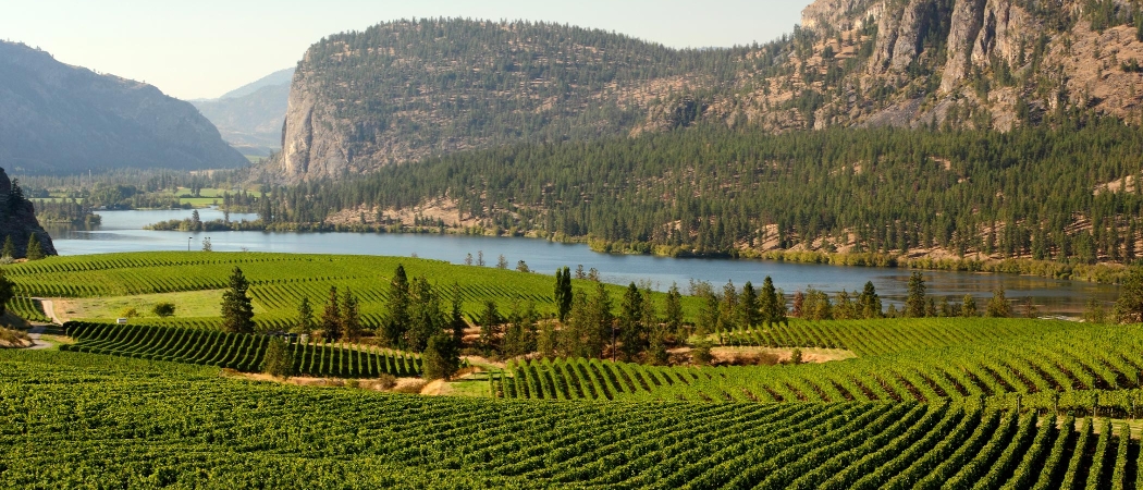 Vallée de l'Okanagan