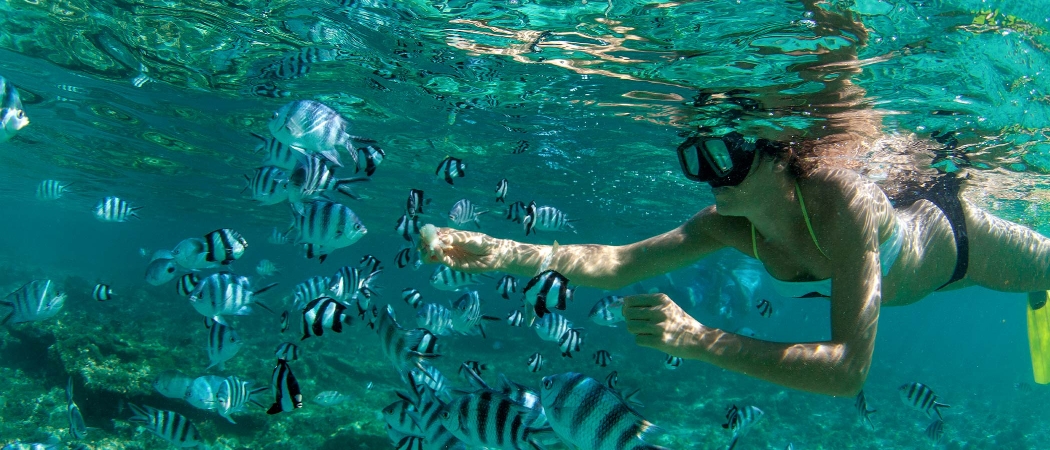 Snorkelling