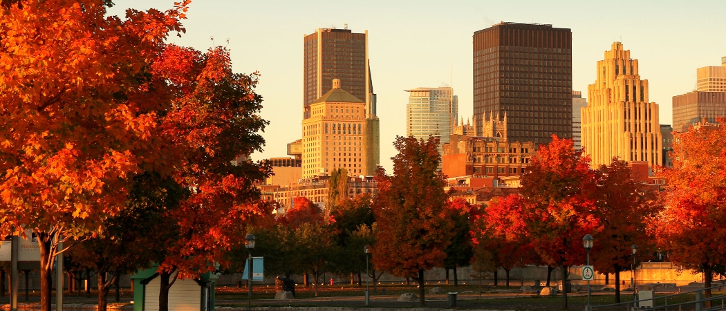 L'automne à Montréal