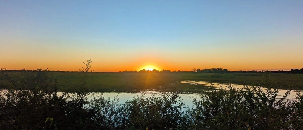 Matin dans le Pantanal
