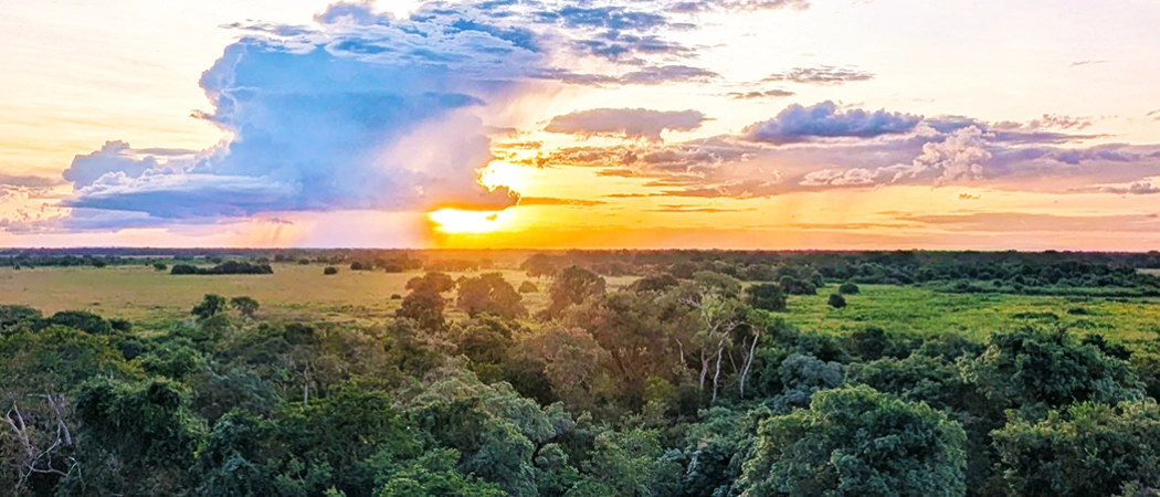 Une vue imprenable sur le Pantanal depuis le ciel