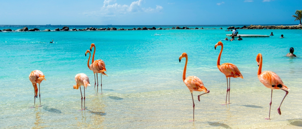 Aruba