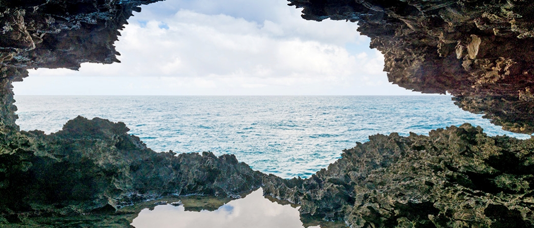 Animal Flower Cave