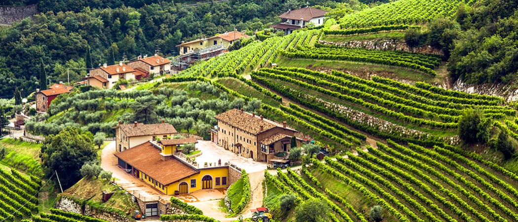 Valpolicella