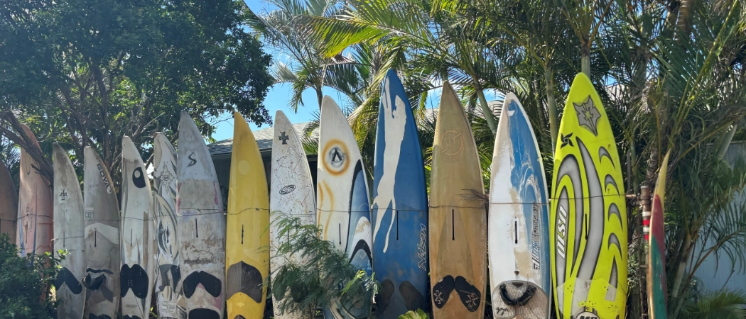 Paia