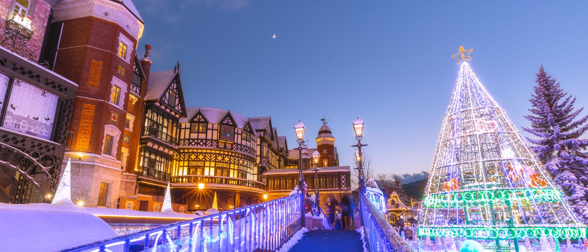 Sapporo Winter Festival