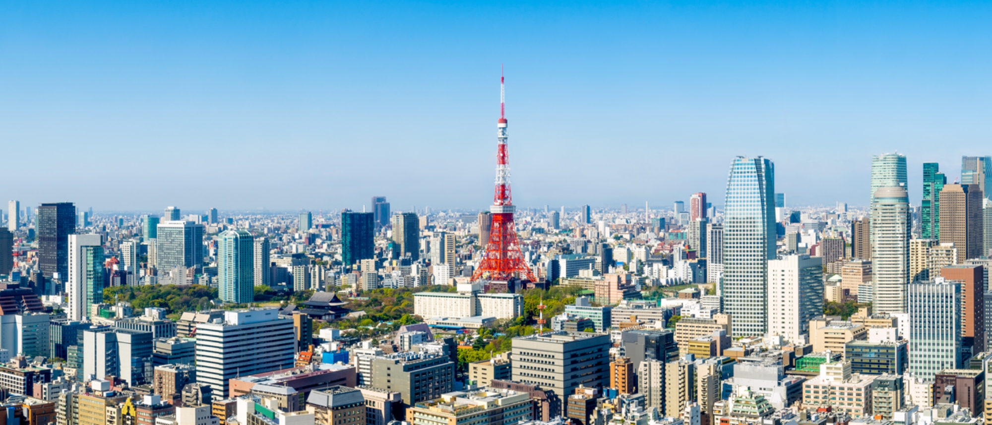 Tokyo City Skyline