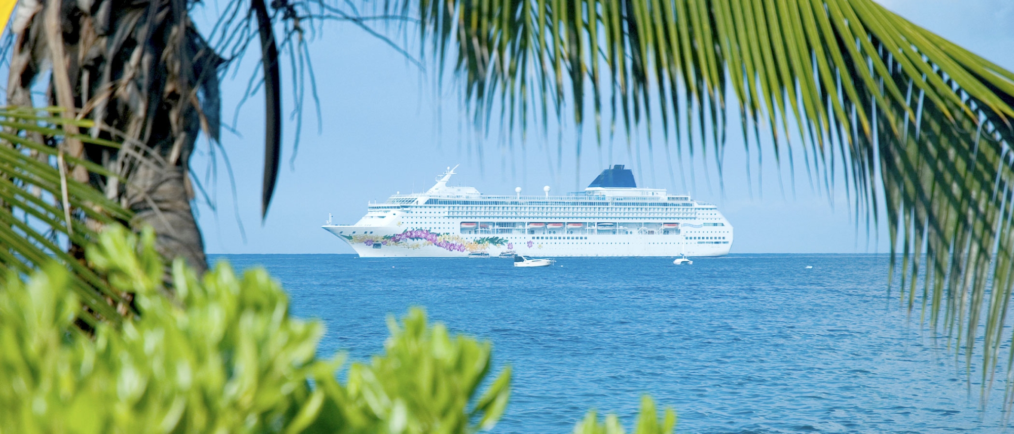 Compagnies de croisière