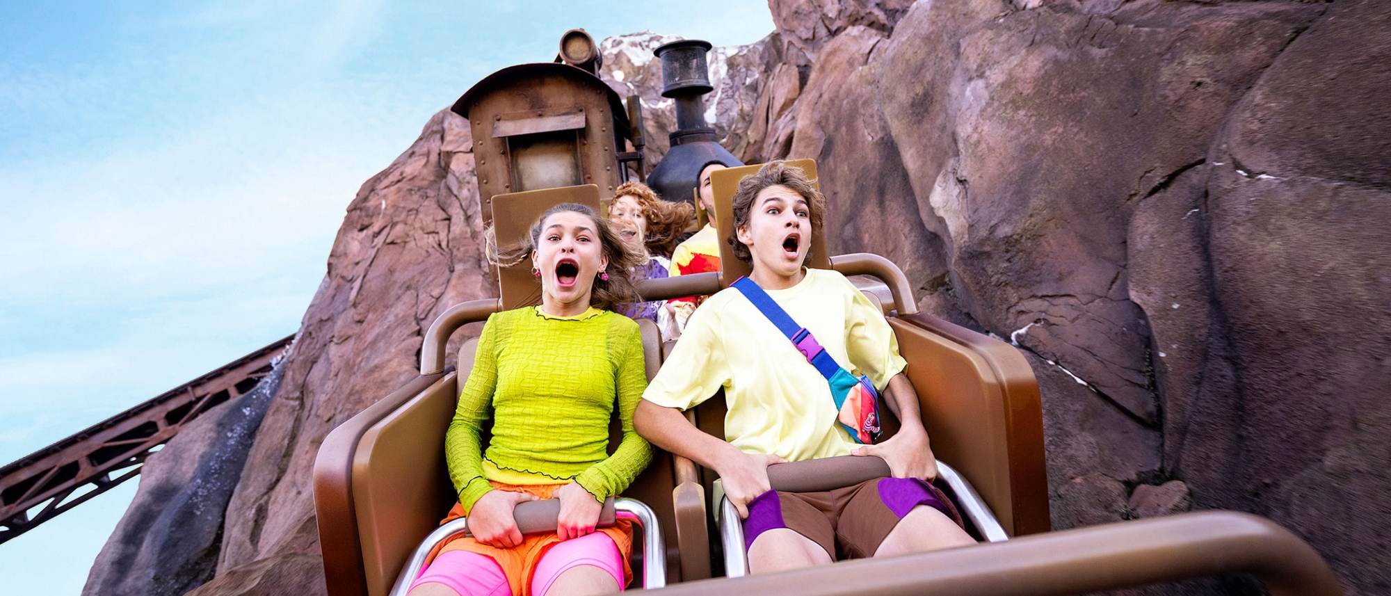 Disney Thrills