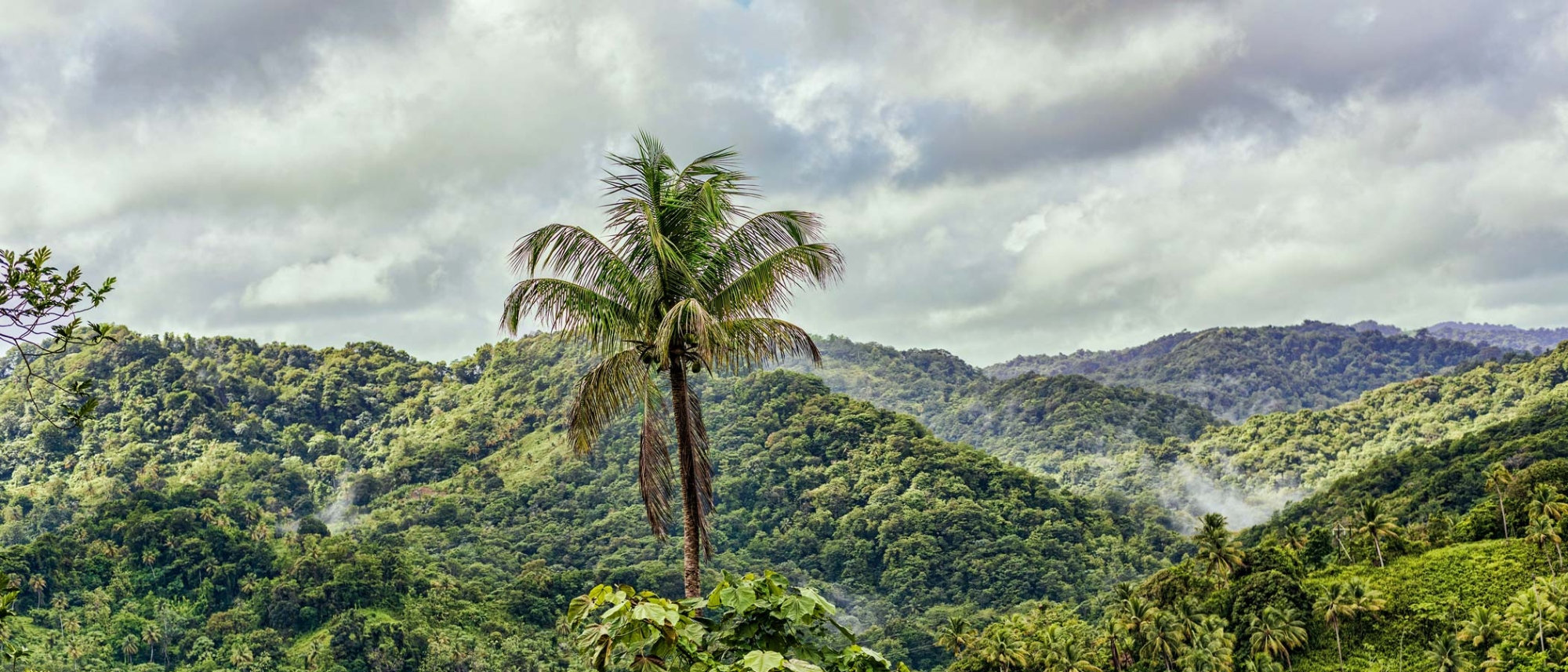 Errard Falls St Lucia