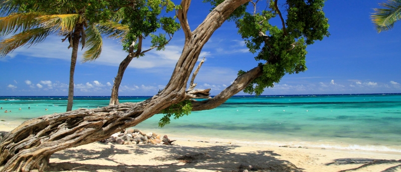Jamaïque