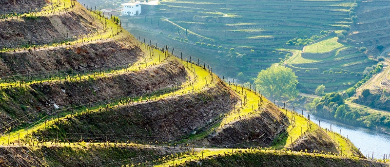 Douro Valley