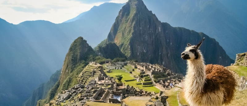 Machu Picchu