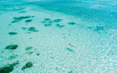 Aruba Resorts | Aruba Packages | Air Canada Vacations