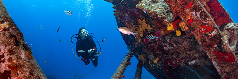 La chasse sous-marine et les océans : les eaux où vous allez, les poissons  que vous trouvez