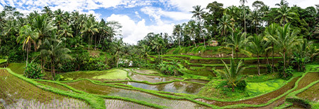 Bali Jatiluwih.