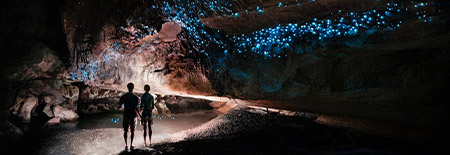 Waitomo Glow Worm Cave New Zealand.